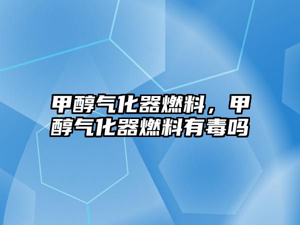 甲醇?xì)饣魅剂?,甲醇?xì)饣魅剂嫌卸締? class=
