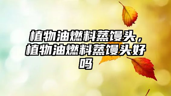 植物油燃料蒸饅頭，植物油燃料蒸饅頭好嗎
