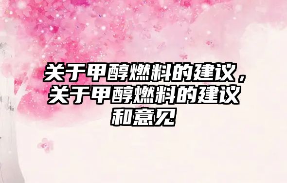 關(guān)于甲醇燃料的建議，關(guān)于甲醇燃料的建議和意見