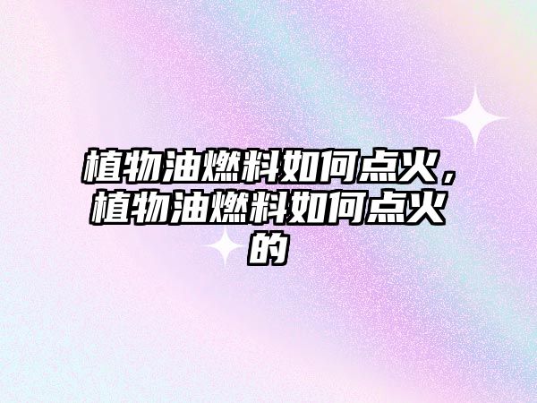 植物油燃料如何點火，植物油燃料如何點火的