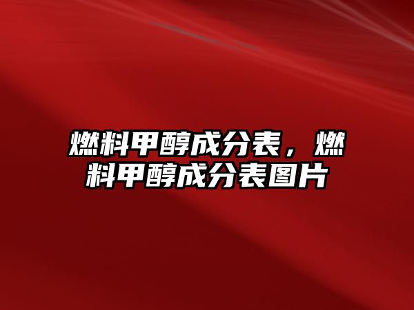 燃料甲醇成分表，燃料甲醇成分表圖片