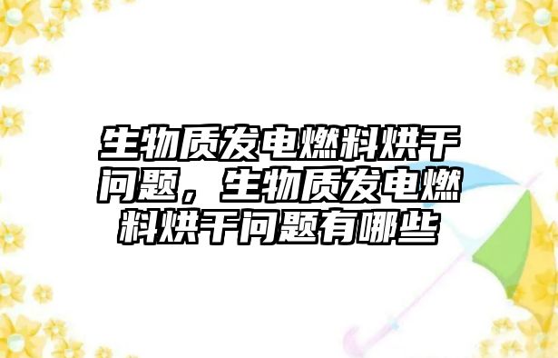 生物質(zhì)發(fā)電燃料烘干問題，生物質(zhì)發(fā)電燃料烘干問題有哪些