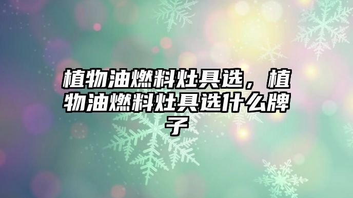 植物油燃料灶具選，植物油燃料灶具選什么牌子