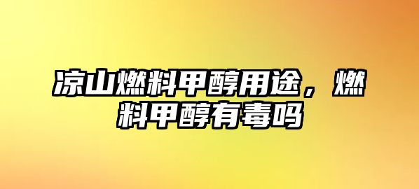 涼山燃料甲醇用途，燃料甲醇有毒嗎