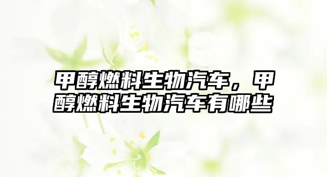 甲醇燃料生物汽車，甲醇燃料生物汽車有哪些