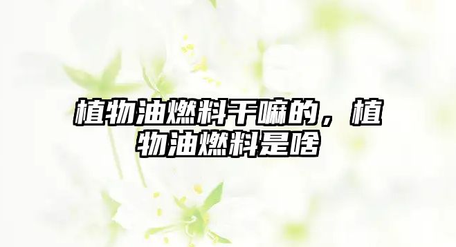 植物油燃料干嘛的，植物油燃料是啥
