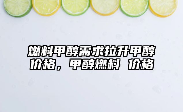 燃料甲醇需求拉升甲醇價格，甲醇燃料 價格