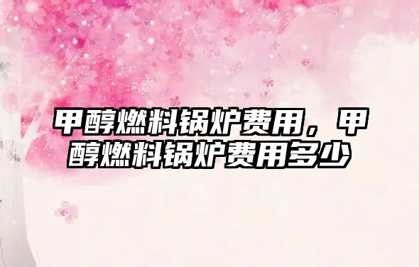 甲醇燃料鍋爐費(fèi)用，甲醇燃料鍋爐費(fèi)用多少