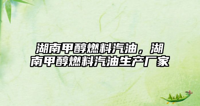 湖南甲醇燃料汽油，湖南甲醇燃料汽油生產(chǎn)廠家