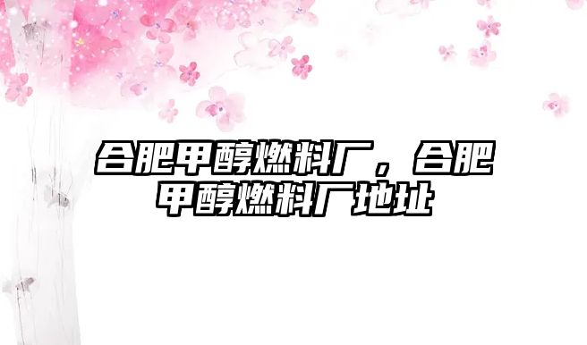 合肥甲醇燃料廠，合肥甲醇燃料廠地址