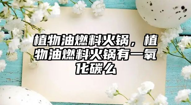 植物油燃料火鍋，植物油燃料火鍋有一氧化碳么