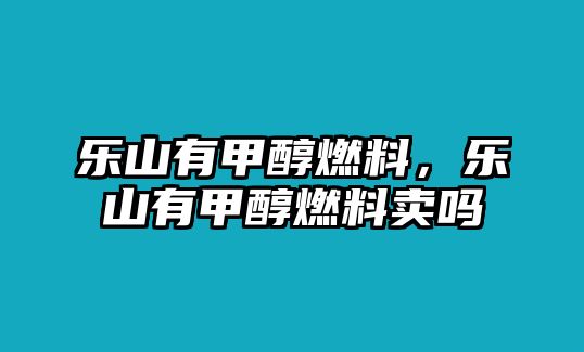 樂山有甲醇燃料，樂山有甲醇燃料賣嗎