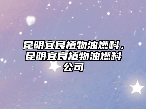 昆明宜良植物油燃料，昆明宜良植物油燃料公司
