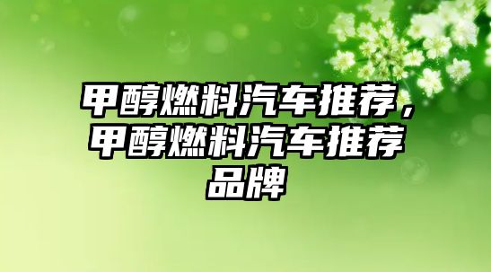 甲醇燃料汽車推薦，甲醇燃料汽車推薦品牌
