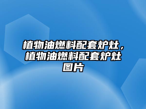 植物油燃料配套爐灶，植物油燃料配套爐灶圖片