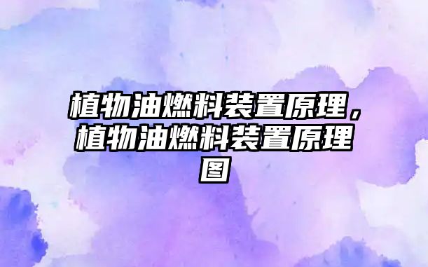 植物油燃料裝置原理，植物油燃料裝置原理圖