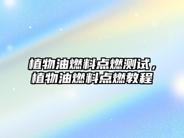植物油燃料點燃測試，植物油燃料點燃教程