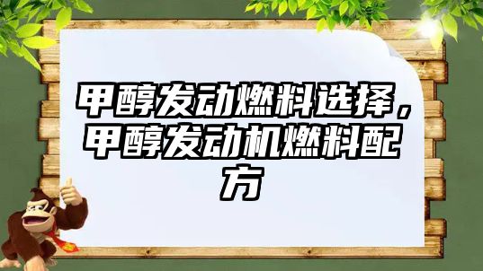 甲醇發(fā)動燃料選擇，甲醇發(fā)動機(jī)燃料配方