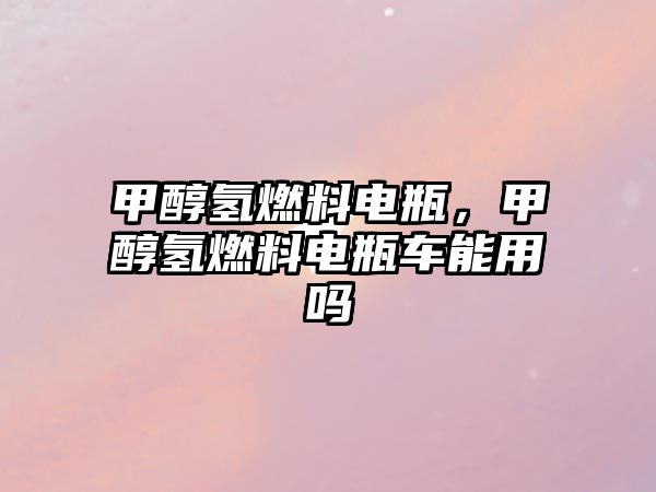 甲醇?xì)淙剂想娖浚状細(xì)淙剂想娖寇嚹苡脝? class=