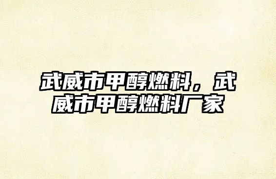 武威市甲醇燃料，武威市甲醇燃料廠家