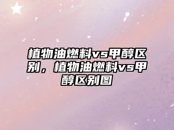 植物油燃料vs甲醇區(qū)別，植物油燃料vs甲醇區(qū)別圖