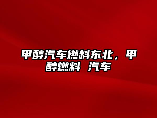 甲醇汽車(chē)燃料東北，甲醇燃料 汽車(chē)