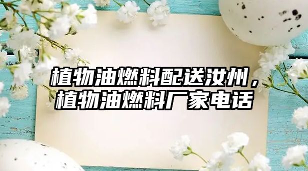 植物油燃料配送汝州，植物油燃料廠家電話