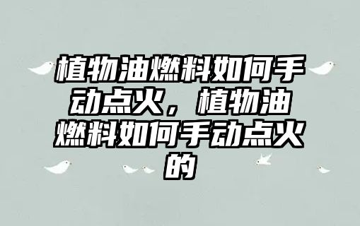 植物油燃料如何手動(dòng)點(diǎn)火，植物油燃料如何手動(dòng)點(diǎn)火的