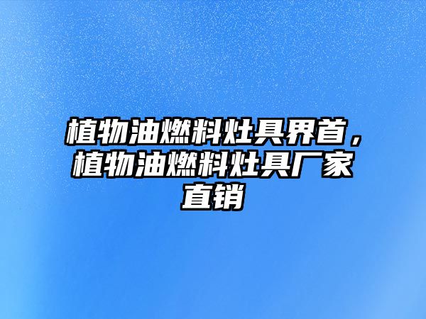 植物油燃料灶具界首，植物油燃料灶具廠家直銷