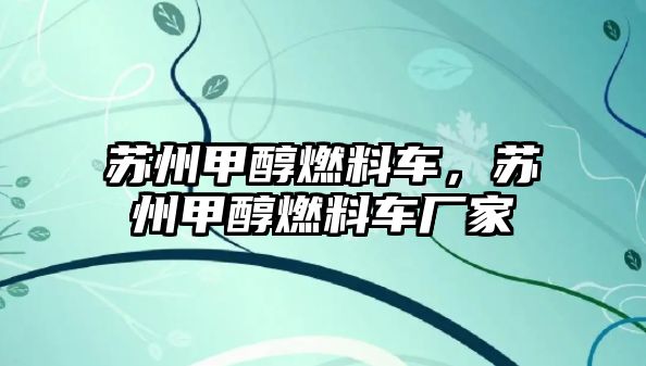 蘇州甲醇燃料車，蘇州甲醇燃料車廠家