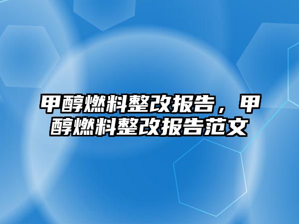 甲醇燃料整改報告，甲醇燃料整改報告范文