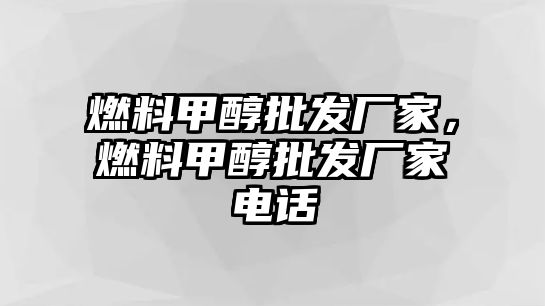 燃料甲醇批發(fā)廠家，燃料甲醇批發(fā)廠家電話