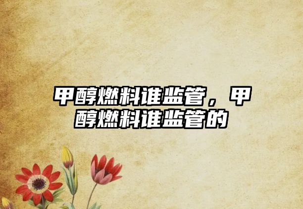 甲醇燃料誰監(jiān)管，甲醇燃料誰監(jiān)管的