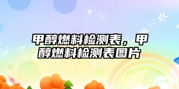 甲醇燃料檢測表，甲醇燃料檢測表圖片