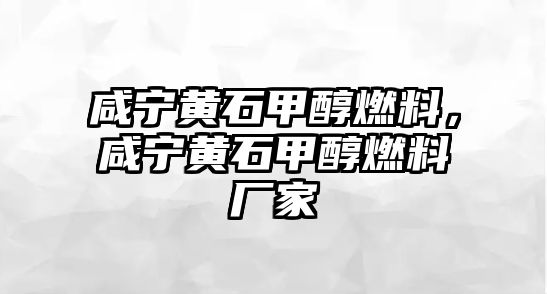 咸寧黃石甲醇燃料，咸寧黃石甲醇燃料廠家