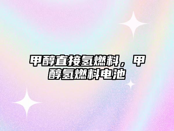 甲醇直接氫燃料,甲醇?xì)淙剂想姵? class=