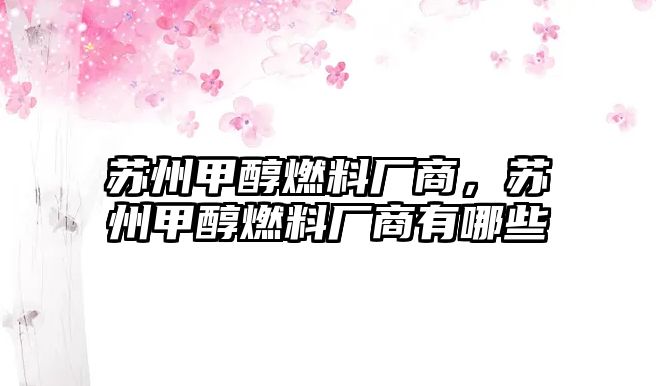 蘇州甲醇燃料廠商，蘇州甲醇燃料廠商有哪些