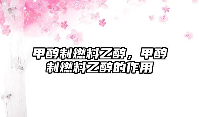 甲醇制燃料乙醇，甲醇制燃料乙醇的作用