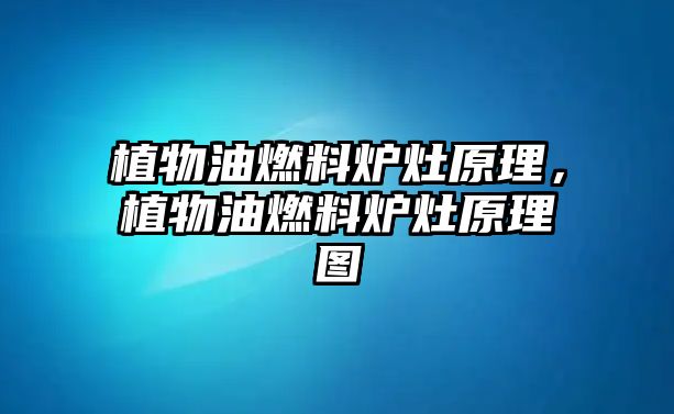 植物油燃料爐灶原理，植物油燃料爐灶原理圖
