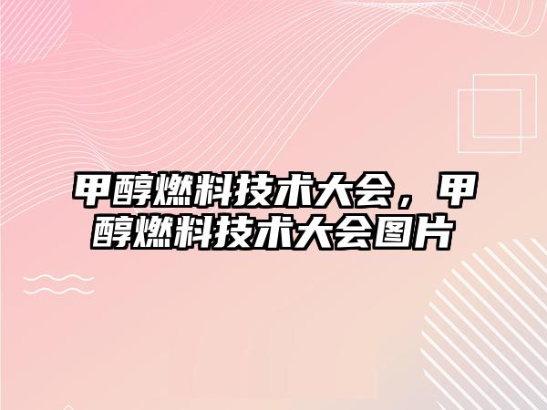 甲醇燃料技術(shù)大會(huì)，甲醇燃料技術(shù)大會(huì)圖片