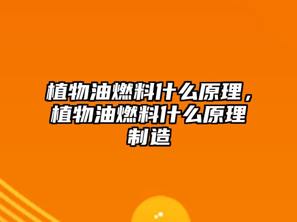 植物油燃料什么原理，植物油燃料什么原理制造