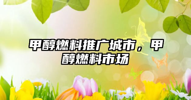 甲醇燃料推廣城市，甲醇燃料市場