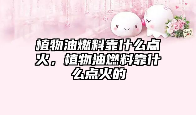 植物油燃料靠什么點火，植物油燃料靠什么點火的