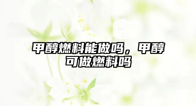 甲醇燃料能做嗎，甲醇可做燃料嗎