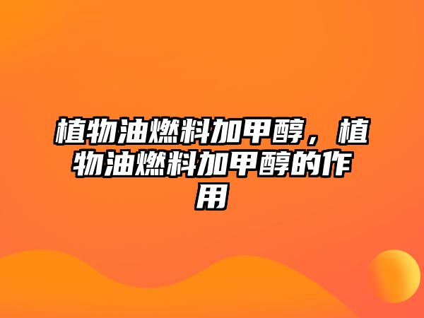 植物油燃料加甲醇，植物油燃料加甲醇的作用