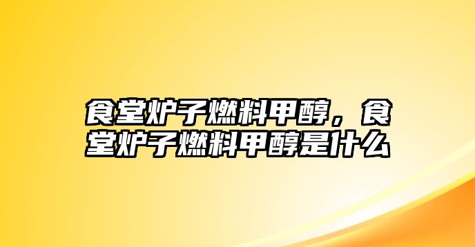 食堂爐子燃料甲醇，食堂爐子燃料甲醇是什么