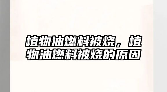 植物油燃料被燒，植物油燃料被燒的原因