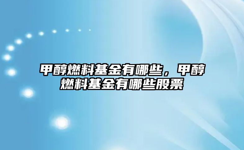 甲醇燃料基金有哪些，甲醇燃料基金有哪些股票