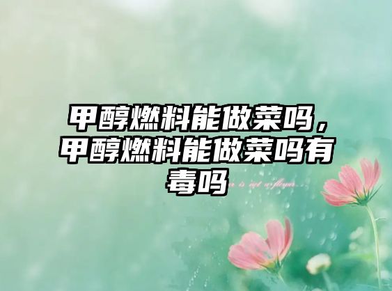 甲醇燃料能做菜嗎，甲醇燃料能做菜嗎有毒嗎