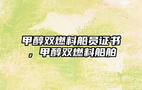 甲醇雙燃料船員證書，甲醇雙燃料船舶